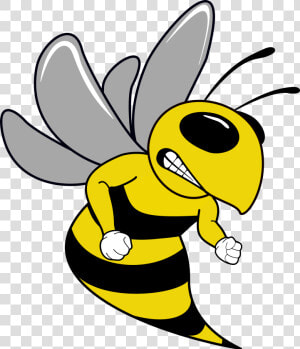 Hornet Mascot   Bee Mascot Cartoon  HD Png Download