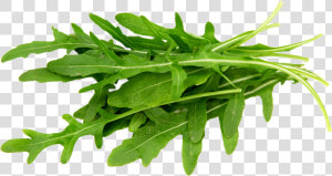 Transparent Arugula Png   Rocket Food  Png Download