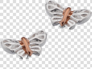 Silver Butterfly Studs With Rose Gold By Sea Gems   Zebra Swallowtail  HD Png Download