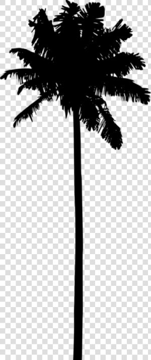 Palm Tree Silhouette Png   Hd Palm Tree Silhouette  Transparent Png