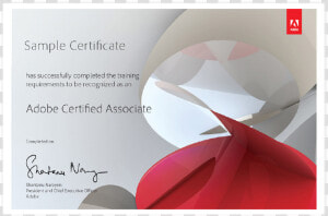 Adobe Certified Associate Certificate  HD Png Download