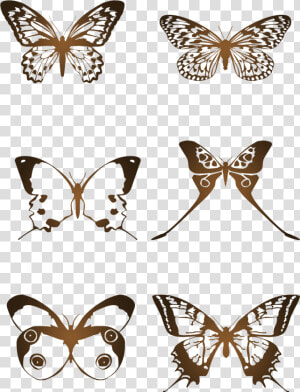 Transparent Mariposas Volando Png   Butterfly  Png Download