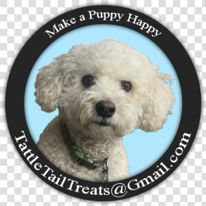 Tattle Tails   Toy Poodle  HD Png Download