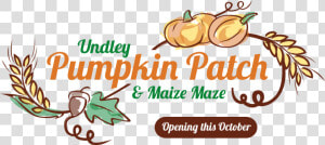 Transparent Maize Png   Undley Pumpkin Patch 2019  Png Download