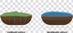 Permeable Vs Impermeable  HD Png Download