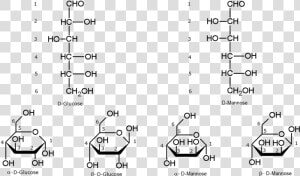 File   Hexoseshemiacetal   Glucose Fructose Galactose Mannose  HD Png Download