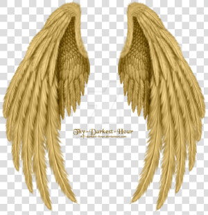 Pin By Missmahsa On Wings In 2019   Golden Angel Wings Png  Transparent Png