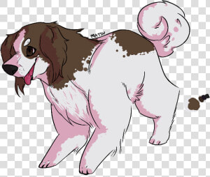 Cocker Spaniel  HD Png Download