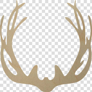 Antler Www Pixshark Com Images Galleries With A Bite   Deer Antlers Png Transparent  Png Download