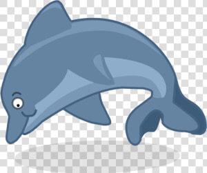 Imagenes De Delfin Png  Transparent Png