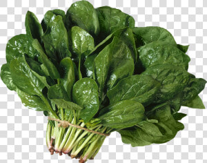 Salad Png Image   Espinaca Png  Transparent Png