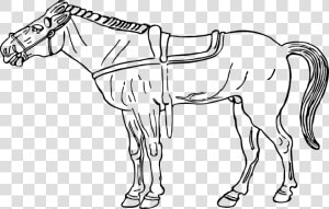 Dibujos De Un Caballo  HD Png Download