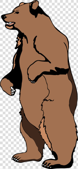 Black Bear Clipart Standing Bear   Cartoon Standing Bear Drawing  HD Png Download