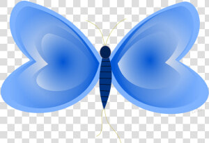 Borboleta Png  Transparent Png