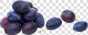 Plum Group   Plum Png  Transparent Png