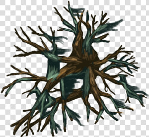 Np04 Treedecid 20x20 nature  Evil Tree  Tree  Leafless  HD Png Download