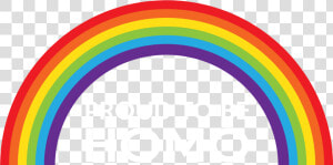 Gay Rainbow Png   Rainbow Clipart  Transparent Png