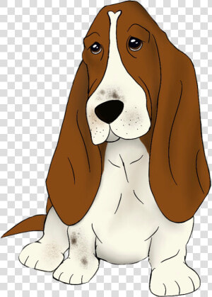 Dottie Ross   Basset Hound  HD Png Download