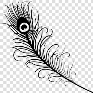 Feather Tattoo Peafowl Drawing Clip Art   Outline Peacock Feather Png  Transparent Png