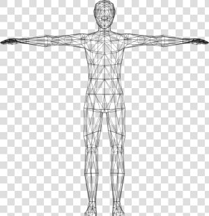 Human Clipart Blank Body   Transparent Human Body Clipart  HD Png Download