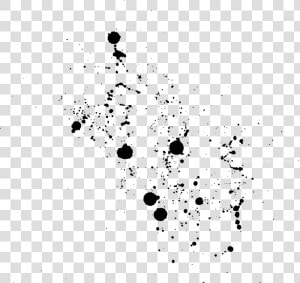 Black And White Monochrome Color   Color Splash Black Png  Transparent Png