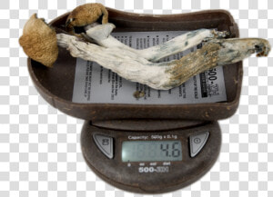 My Weigh 500 Zh Digital Pocket Scale Mushrooms Title   Antique  HD Png Download