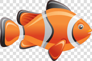 Vector Graphics Stock Illustration Stock Photography   Clownfish Clipart Transparent Background Free  HD Png Download