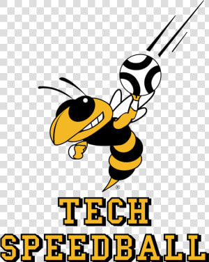 Gt Club Speedball Logos Georgia Tech   Georgia Tech Yellow Jackets  HD Png Download