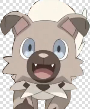 Come Here Rockruff   イワンコ サトシ  HD Png Download