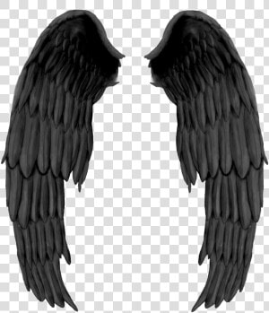 Realistic Angel Wings Png   Petronas Towers  Transparent Png