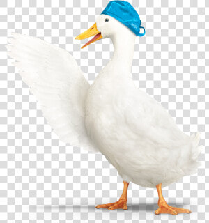 Aflac Duck Png   Transparent Aflac Duck  Png Download