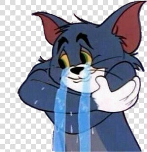 Tom  Sad  And Cartoon Image   Sad Tom And Jerry Png  Transparent Png