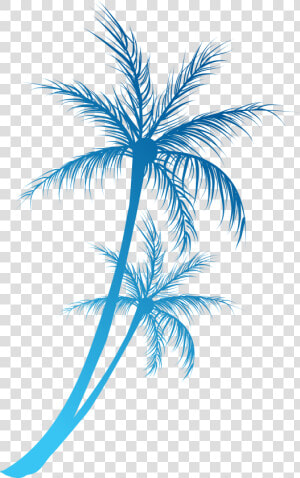 Arecaceae Royalty Free Clip   Blue Palm Tree Png  Transparent Png