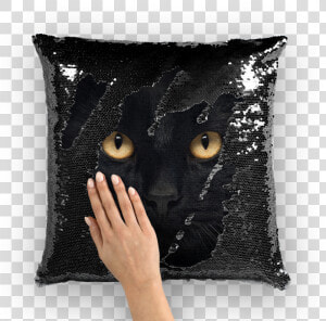 Mezmerizing Black Cat Eyes Magical Hidden Pillow   Nicolas Cage Sequin Throw Pillow  HD Png Download