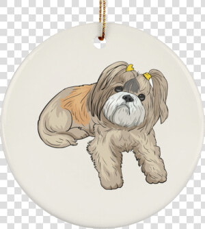 Shih Tzu  HD Png Download