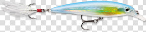 Rapala X rap 10 Fishing Lure   Rapala  HD Png Download