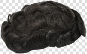 Curly Hair Toupee   Toupee Png  Transparent Png