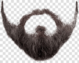 Download Beard And Images   Transparent Background Beard Png  Png Download