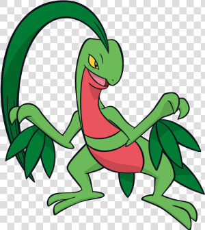 Pokemon Grovyle  HD Png Download