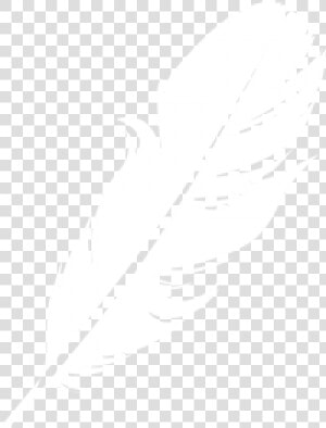 Feather Clipart Logo Image Download   White Feather Logo Png  Transparent Png