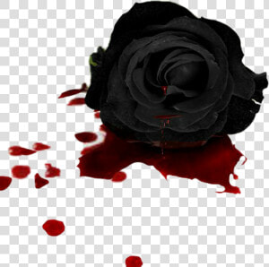  flower  flowers  rose  black  blood   Black Rose With Blood  HD Png Download