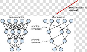 Pruning Neural Network  HD Png Download