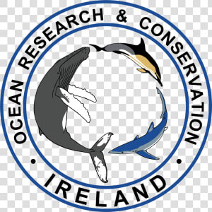 Ocean Pollution Ireland Organizations  HD Png Download