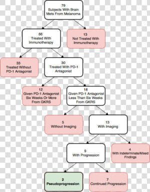 Flowchart Of Gamma Knife Surgery  HD Png Download