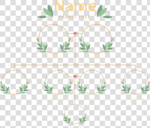 Family Tree Png Photos   Family Tree For Small Family  Transparent Png