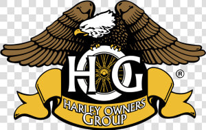 Hog Harley Owners Group Eagle Logo Vector   Harley Davidson Hog Logo  HD Png Download