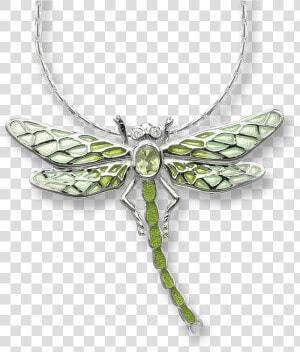 Nicole Barr Designs Sterling Silver Dragonfly Necklace green   Necklace Dragonfly  HD Png Download