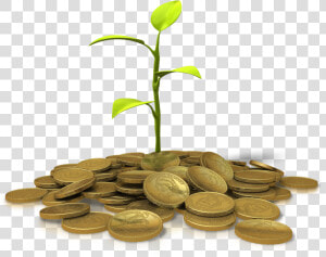 A Plant Growing From A Pile Of Gold Coins   Invest Png  Transparent Png