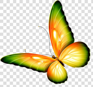 Butterfly Png Clipart Yellow And Green Transparent   Butterfly Clipart Transparent Background  Png Download