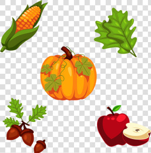 Thanksgiving Pumpkin Png   Cartoon Pumpkin With Leaves  Transparent Png